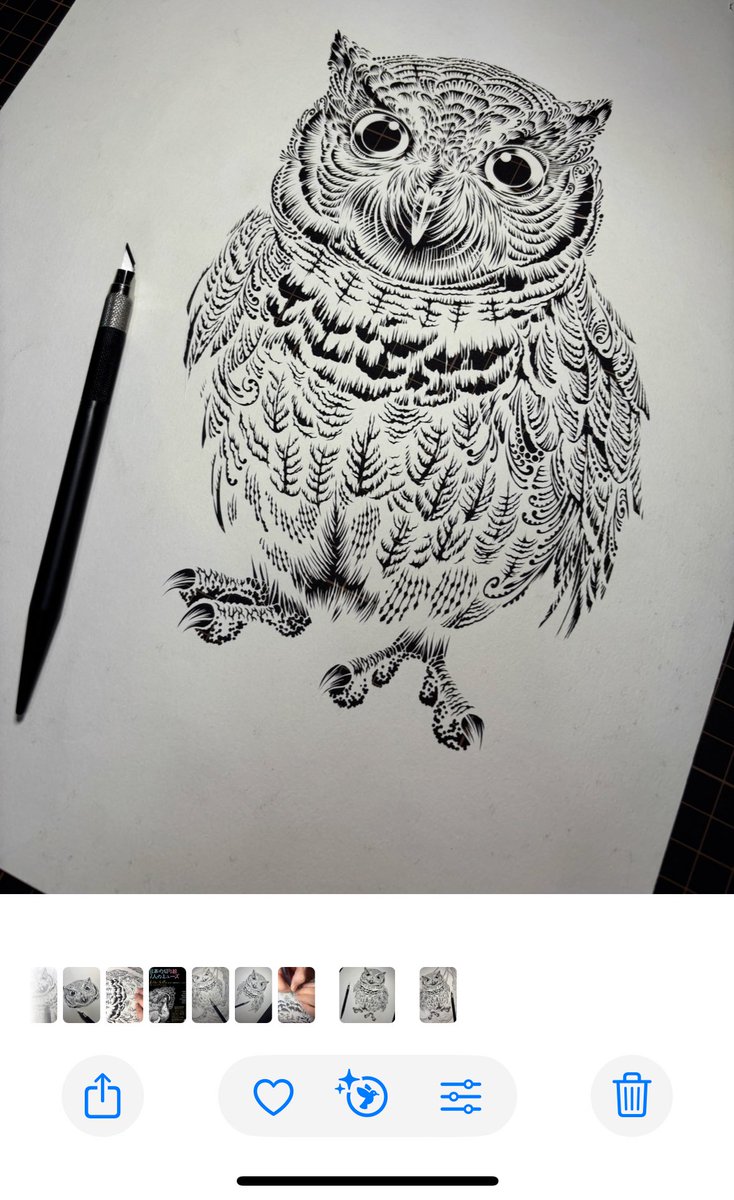 私のiPhoneさんが切り絵を鳥と認識してくれて嬉しい
#切り絵 