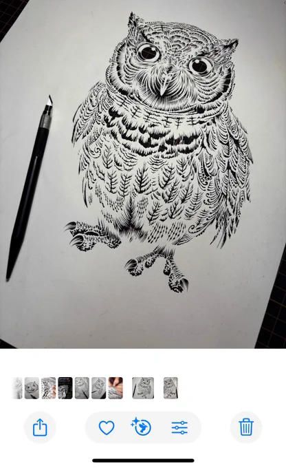 私のiPhoneさんが切り絵を鳥と認識してくれて嬉しい
#切り絵 
