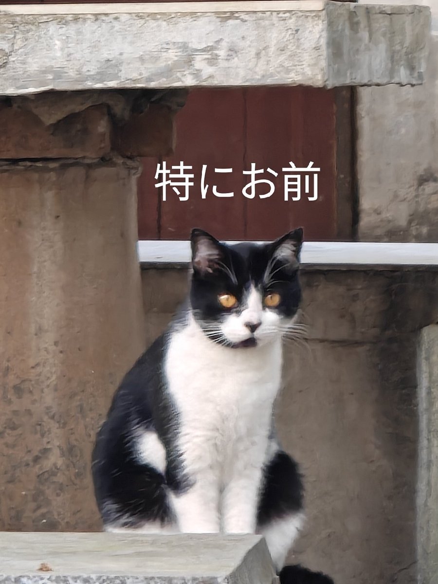 chuyajun's tweet photo. https://t.co/B0DWyEEFEI
