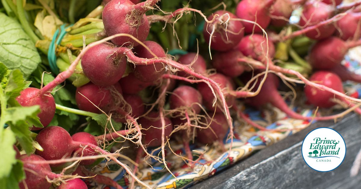 🌾🚜 Follow the new Facebook page: PEIAgriculture for updates, resources, and insights on local farming, sustainability, and food security. Stay connected with the agriculture community and support a sustainable future! 🌱👩‍🌾