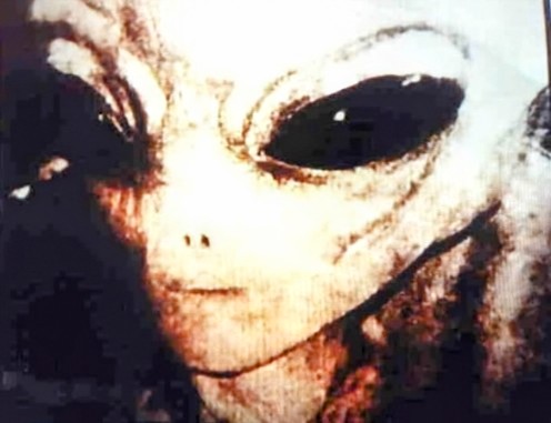 mind_forums's tweet image. Project Blue Book wasn’t to understand UFOs — it was to manage public perception. And that game never stopped.

#ProjectBlueBook #DeepStateSecrets #CosmicCoverUp #ControlledDisclosure 
#ufotwitter