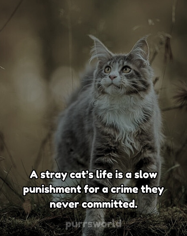 Blue (@blueglitter73) on Twitter photo 