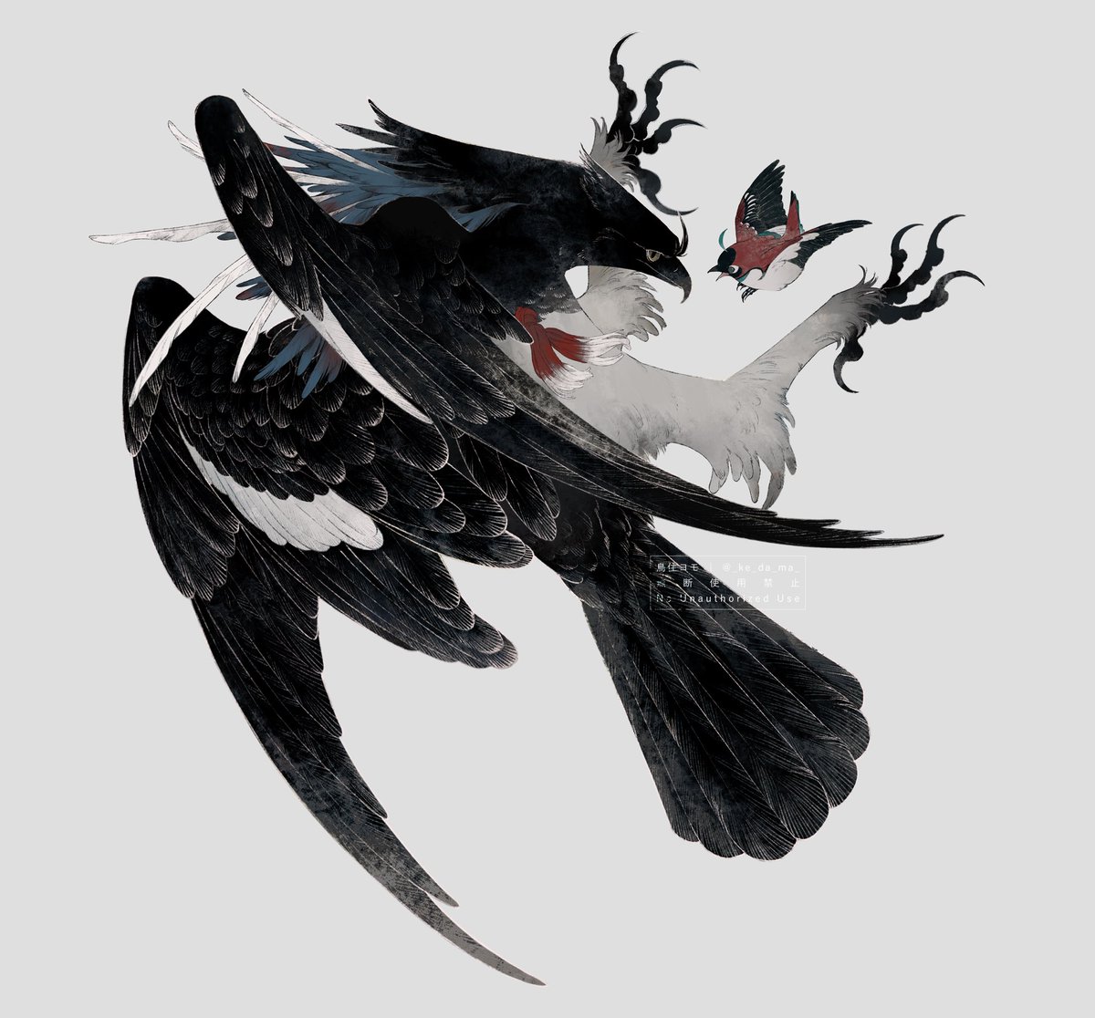 🦅🐥 #OC