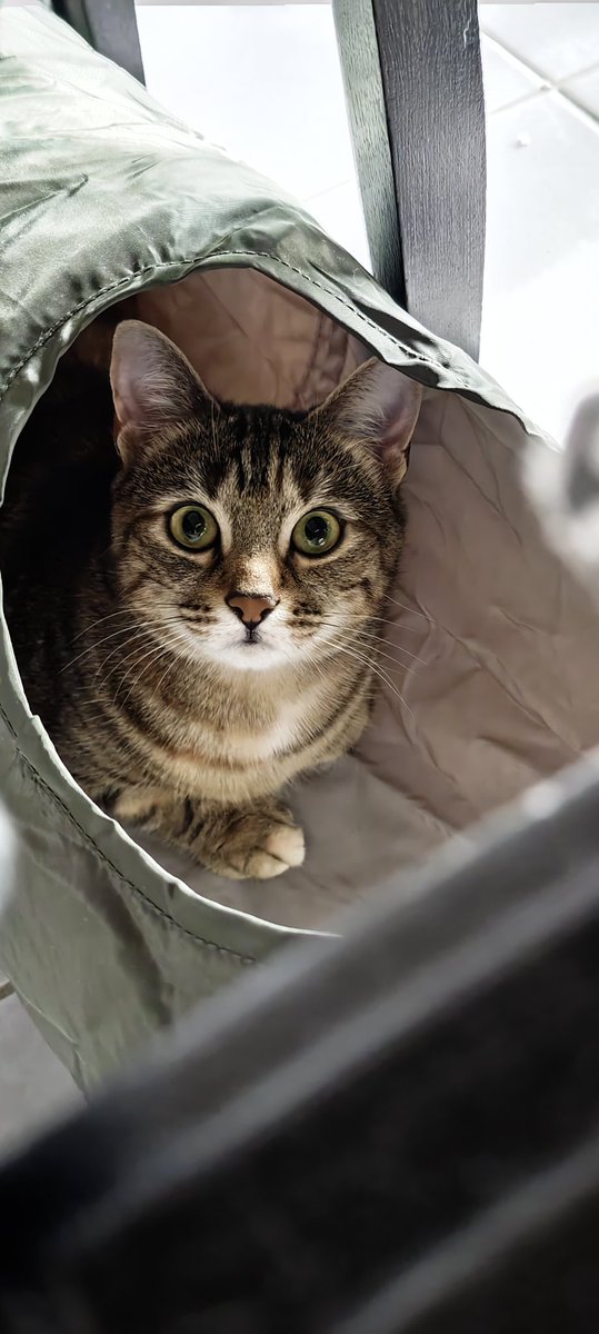 Pas mal ce Xiaomi 15 Ultra 

<a href="/XiaomiFrance/">Xiaomi France</a>