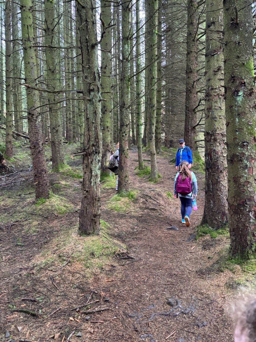 newryscouts's tweet photo. Amazing effort by the Beaver Scouts ๐ฆซ today, we had a great adventure in ravensdale ๐ฅพWe even did a wee bit of first aid training โ๏ธ
#scoutingtogether #scoutingireland #friendship #youthled #beaverscouts #adventureskills https://t.co/oQVTxGoxmK