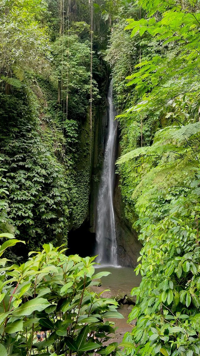 strongstorm_'s tweet photo. Sigo sin encontrar las palabras de lo que Bali significó para mi ✨🌺🥥🐠 https://t.co/2vmAGWvcT7