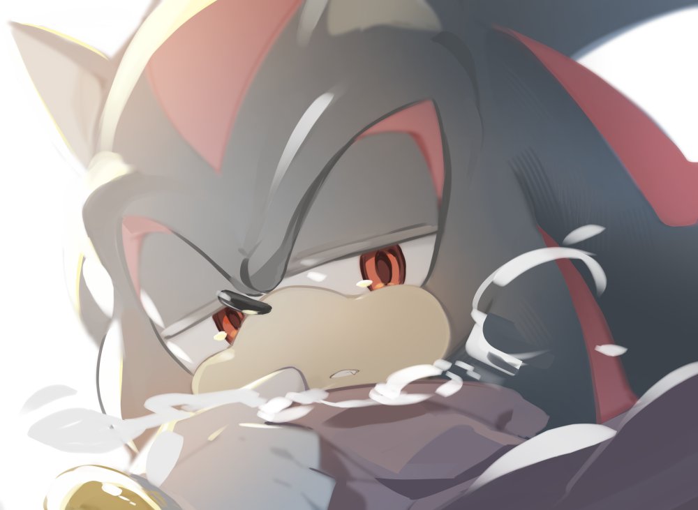 낙숴