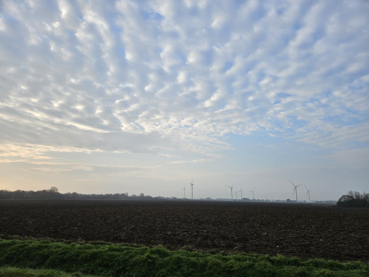 Marathon Runner Surinder Fowler 🇬🇧 tweet media