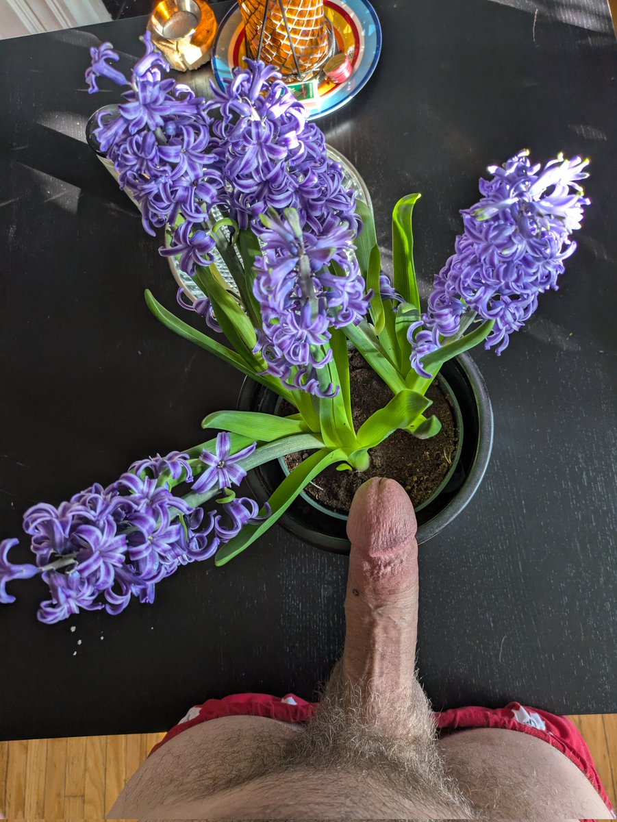 Stop and smell the flowers 🍆😈🌷