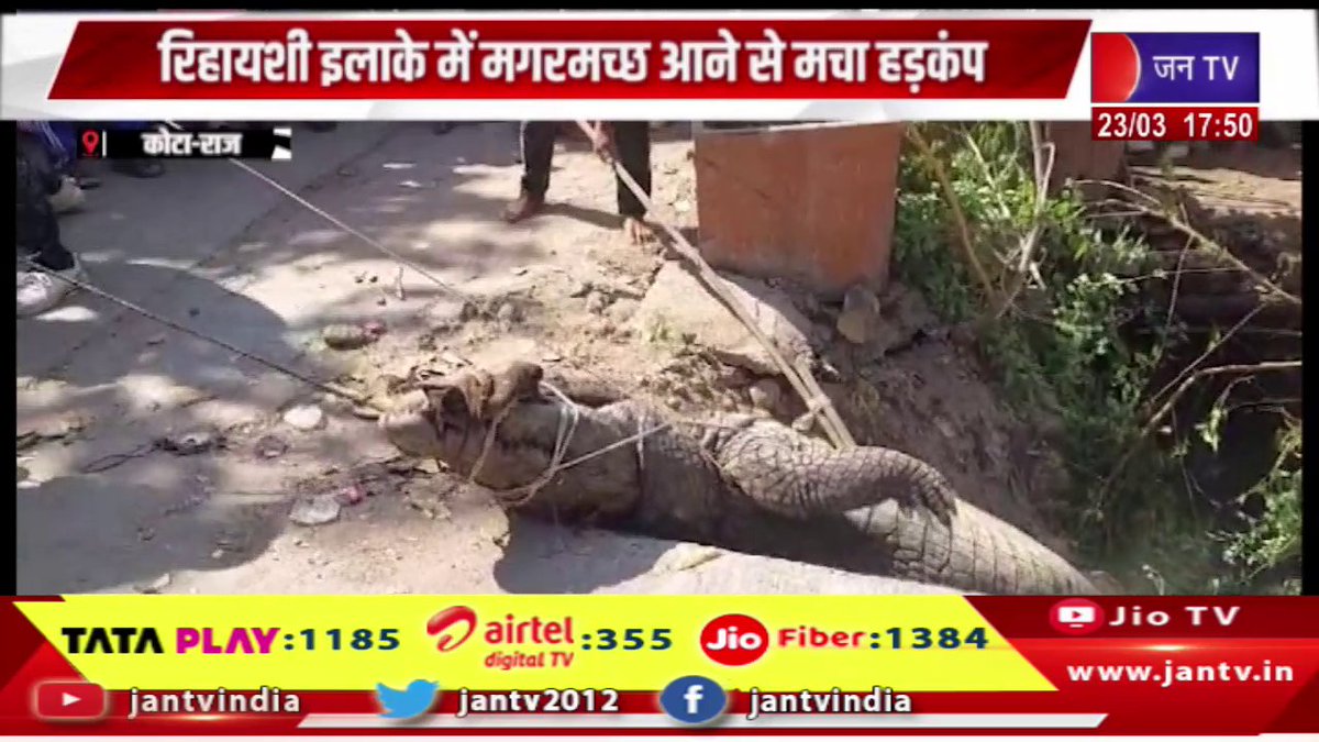 JANTV2012's tweet image. kota News | रिहायशी इलाके में मगरमच्छ आने से मचा हड़कंप, मशक्कत के बाद किया मगरमच्छ का रेस्क्यू | JAN TV

youtu.be/CSxZtezpFNI 

#kotanews #arrivalofcrocodile #mucheffort #jantv_opn