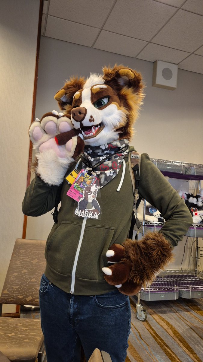 Coffee Addicted Dog tweet media