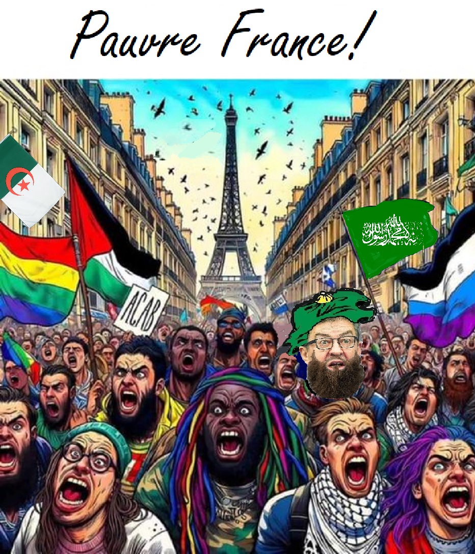 FRANCE614's tweet photo. @GilbertCollard de futures victimes qui pactisent avec leur futur bourreau quand on voit le nombre de guets qui ont été exécutés dans les pays musulmans sans oublier la Palestine, combien y a-t-il d' LGBT🏳️‍🌈 en Palestine, c'est simple, c'est 0 https://t.co/Ca4V6VylCv