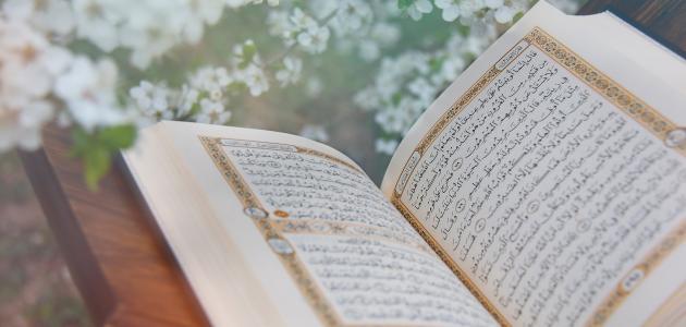 MahmoodHasanK's tweet photo. Be grateful for whatever portion of the Qur'an is in your heart and continue to memorise. You have the Word of Allah in your heart. Many people may not trust you with trivial materialistic things but the Almighty trusts you with His Speech and is happy for your heart to have it. https://t.co/MQU0uwfyeo