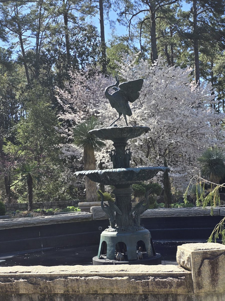 Kim Trickel tweet media