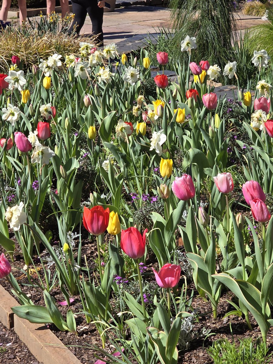 Kim Trickel tweet media