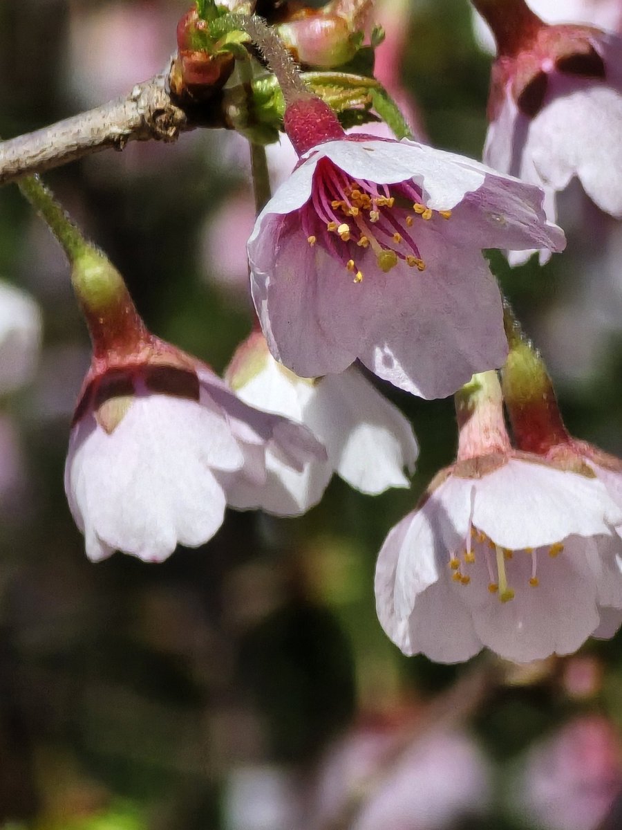 Kim Trickel tweet media