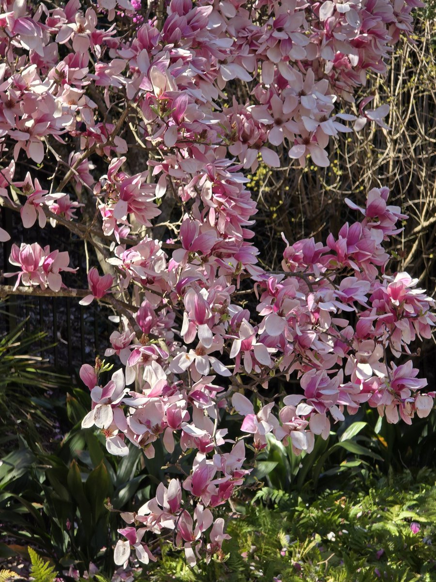 Kim Trickel tweet media