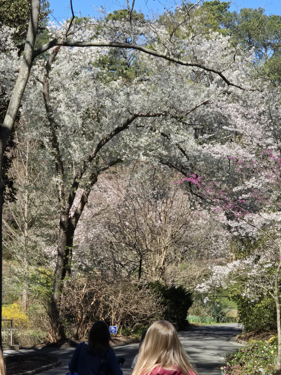 Kim Trickel tweet media