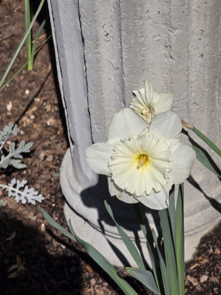 Kim Trickel tweet media