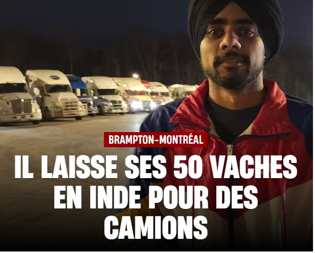 NethThao's tweet image. Parce que il y a plus de vaches "Parlementaire" au #Québe et #Canada.
#AssNat #polqc @francoislegault @SJB_CAQ @fbonnardelCAQ @RCInternational @LP_LaPresse @QubRadio @RadioCanadaInfo @LeDevoir @CTVMontreal