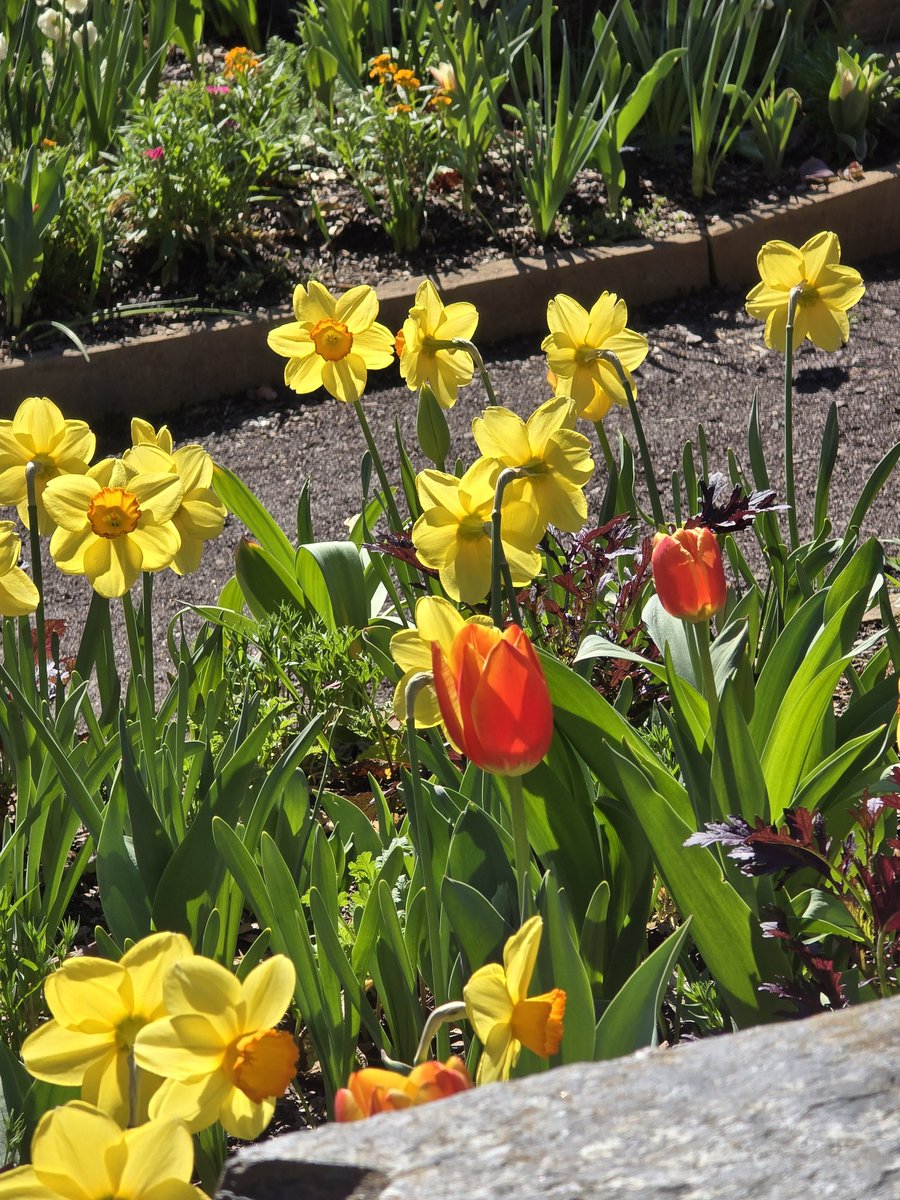 Kim Trickel tweet media