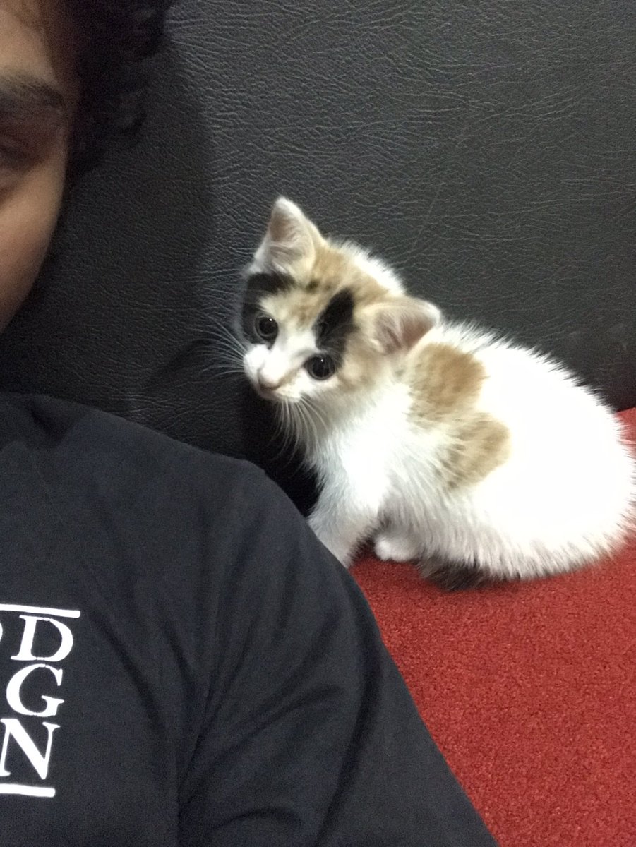 afrizalmn's tweet photo. Welcome Owi! https://t.co/UZrPvy7AfG