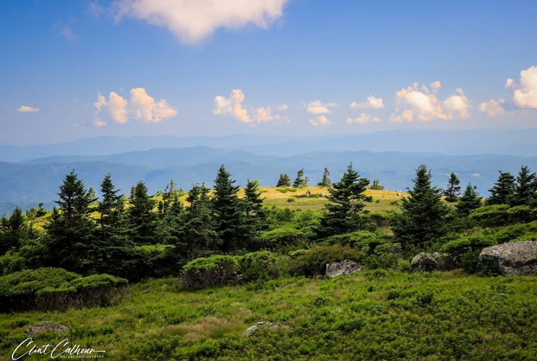 LEEDbuilder's tweet image. The Roan Balds of North Carolina and Tennessee