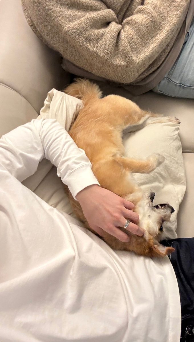 HOURLYMADDOX's tweet photo. [New Instagram story]
#Maddox #GOLDFISHBOY #마독스 https://t.co/92VtgDK2pC