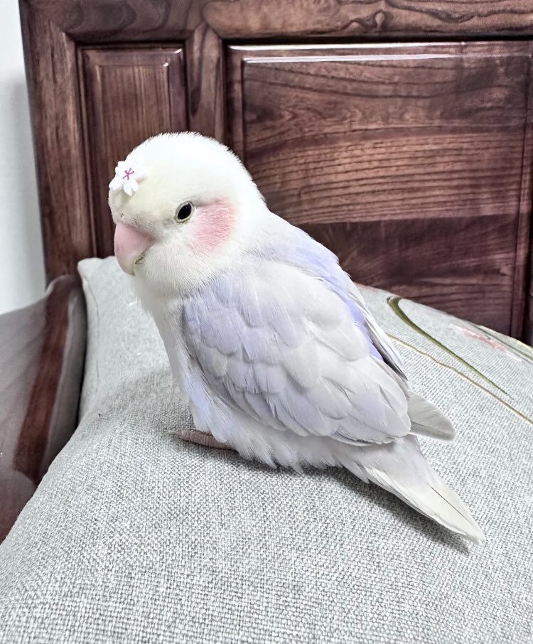 ♡ (@heart_jpg) on Twitter photo 