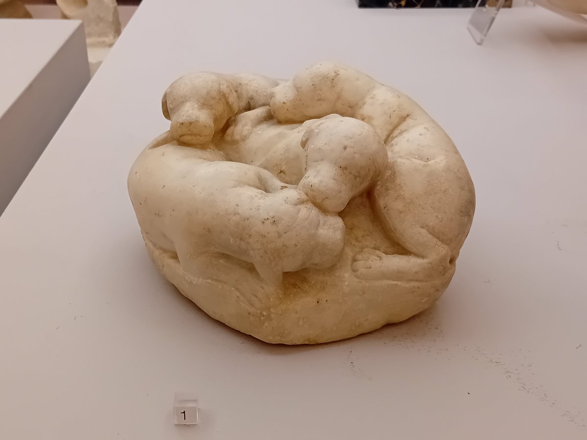 In honour of #NationalPuppyDay, a #Roman sculpture from #Pompeii of four little pups curled up together &amp; sleeping peacefully - a lovely piece of ancient art, made more than 2000 years ago #Archaeology #RomanArchaeology