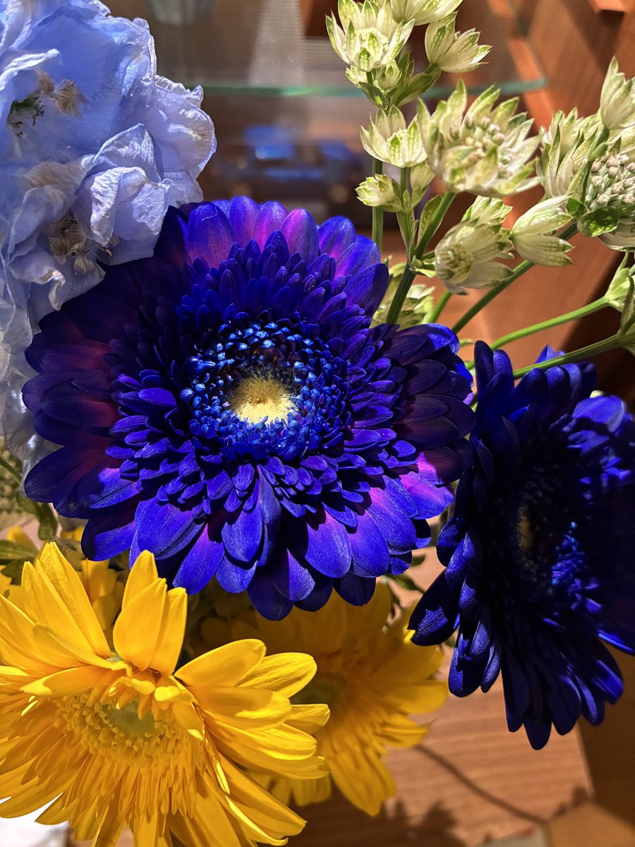 【雄也通信】
お彼岸を迎え、春の訪れを感じる季節になりました。お参りに来てくださった方、雄也に思いを馳せてくださりありがとうございます。これからもどうぞよろしくお願いします。