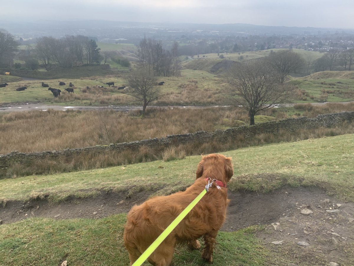 CloranKay's tweet photo. Wham Barr reservoir https://t.co/Yar9wrTRJS