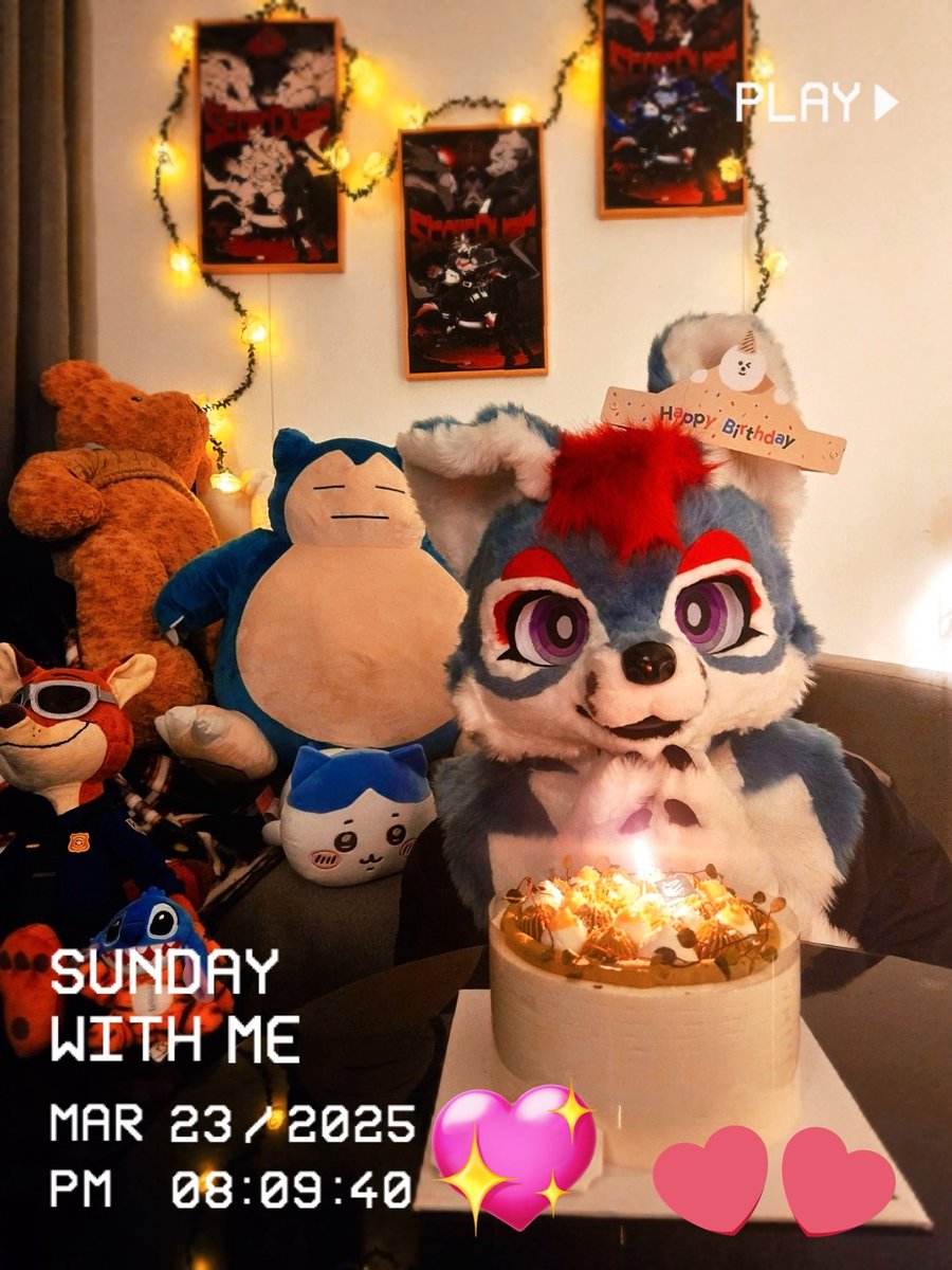 ReisHusky tweet media