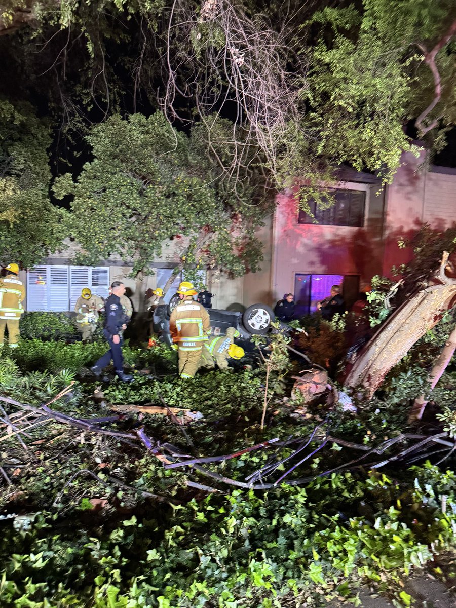 Single vehicle TC at approx. 1:30 a.m. - 340 N Orange Grove (at Walnut). Male, age 22, only occupant in vehicle, deceased on scene. PD investigating cause.