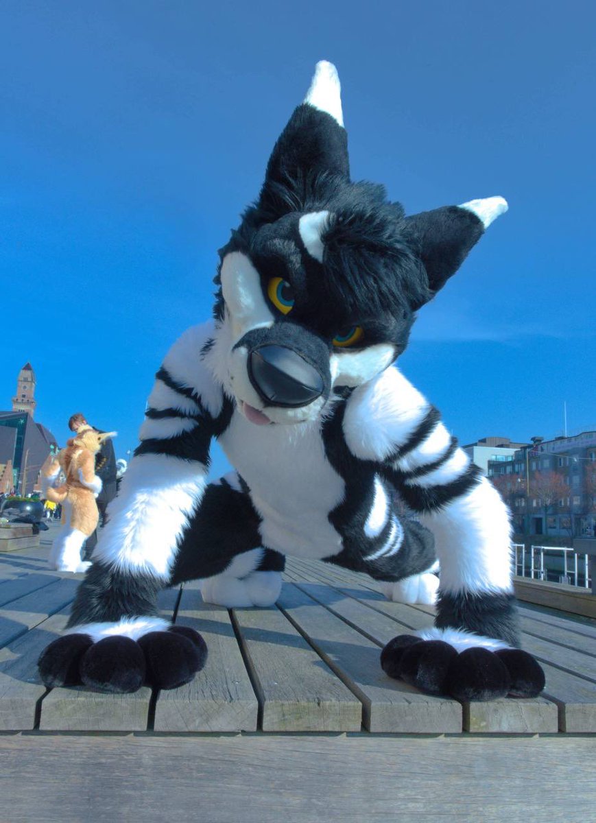 Oh! found ya! 😏
📸:<a href="/KoviDeerDoge/">Kovi ^_−☆</a>