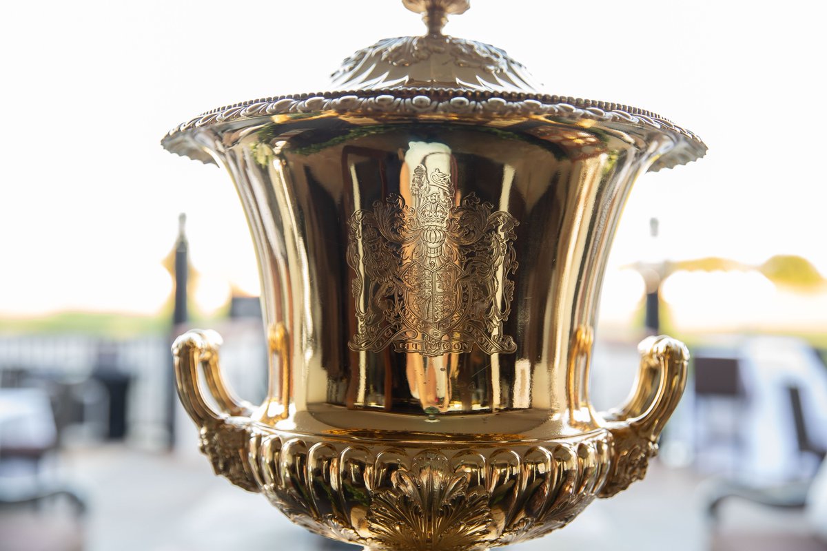 Global Polo tweet media