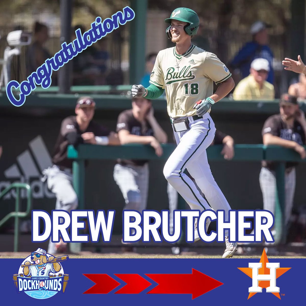 Lake Country DockHounds tweet media