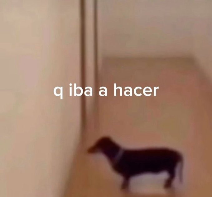 Dominicanshit29's tweet photo. @kpininimemes Foke: ¿que fue lo que pasó sujeto?
Suje: Me falto el respeto
Foke: pero así no suje
Suje: https://t.co/tTYOee16vM