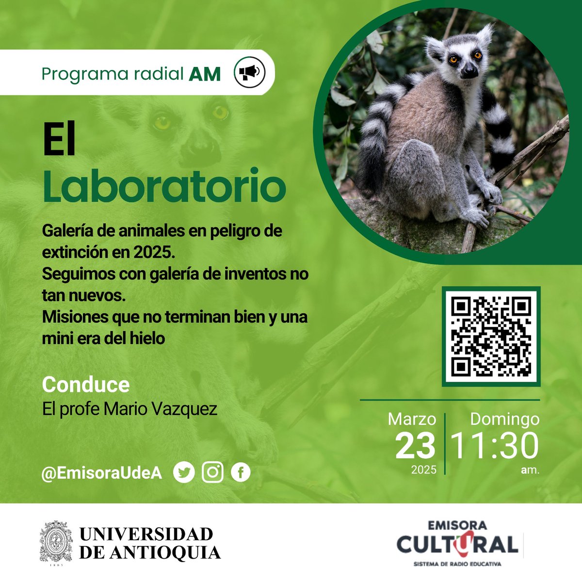 El Laboratorio tweet media