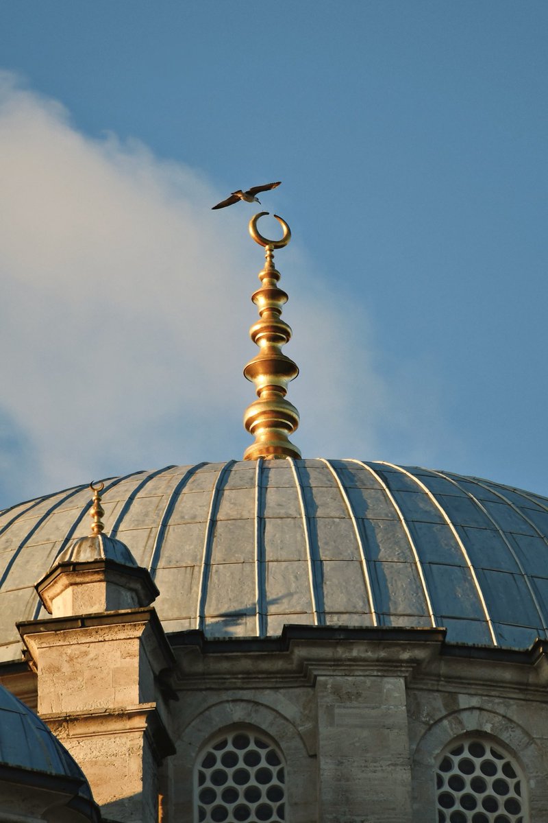 23 Ramazan. 

"Ey Rabbim! Şeytanların vesveselerinden sana sığınırım. Ey Rabbim! Onların benim yanımda bulunmalarından da sana sığınırım."

Mü'minûn 97,98