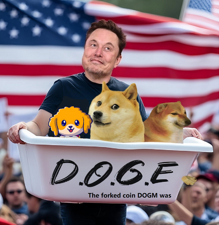 Dogs are the mascot of every family, and every family should have two of the best dogs. They are guides of wealth! 👉 $DOGE 👉 $DOGM
#Yiimp #POW #Crypto #Bitcoin $BTC $BCH #Litecoin $LTC #Infinitecoin $IFC #Dogecoin $DOGE #Dogmcoin $DOGM