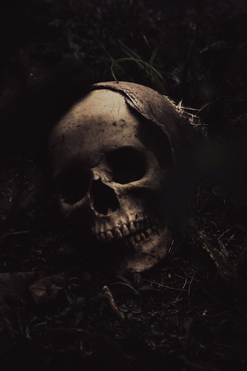 HorrifyingHist1's tweet photo. ๐ป Dive into the dark and twisted world of Horrifying History with our blog updates and supernatural posts. Join our fan club for ad-free episodes and grab some creepy merch! #CreepyCool #JoinTheFanClub #GetSpooked ๐ฆ
https://t.co/Z6SAYeejFf
Photo by Jon Butterworth on Unsplash. https://t.co/NldNTYERaq