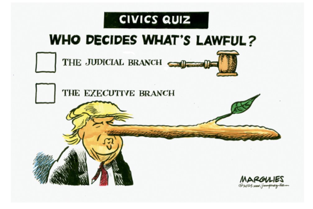 The FELON-in-Chief would never pass a civics test!
(🎨Jimmy Margulies)