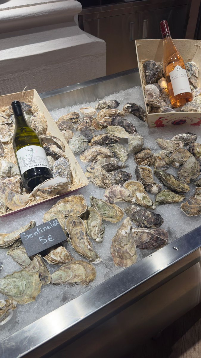 Have a blessed Sunday! 

Always try to log off social media

Don’t think about trading

Take care of your mental and physical health