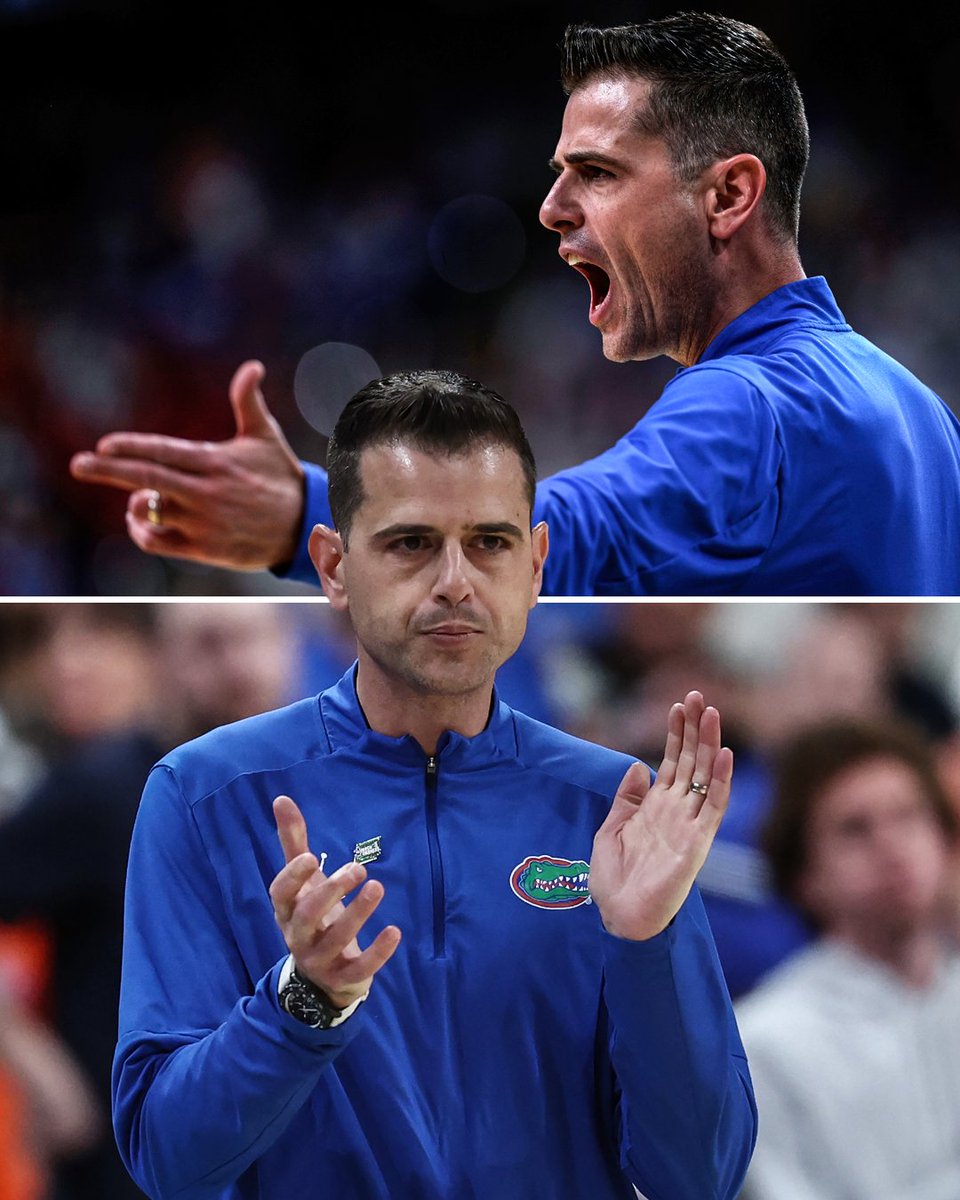 SEC Network (@secnetwork) on Twitter photo Watch out, West Region 🐊
<a href="/GatorsMBK/">Florida Gators Men’s Basketball</a> is headed to the city where Todd Golden's head coaching career began: San Francisco 👏 Watch out, West Region 🐊
<a href="/GatorsMBK/">Florida Gators Men’s Basketball</a> is headed to the city where Todd Golden's head coaching career began: San Francisco 👏