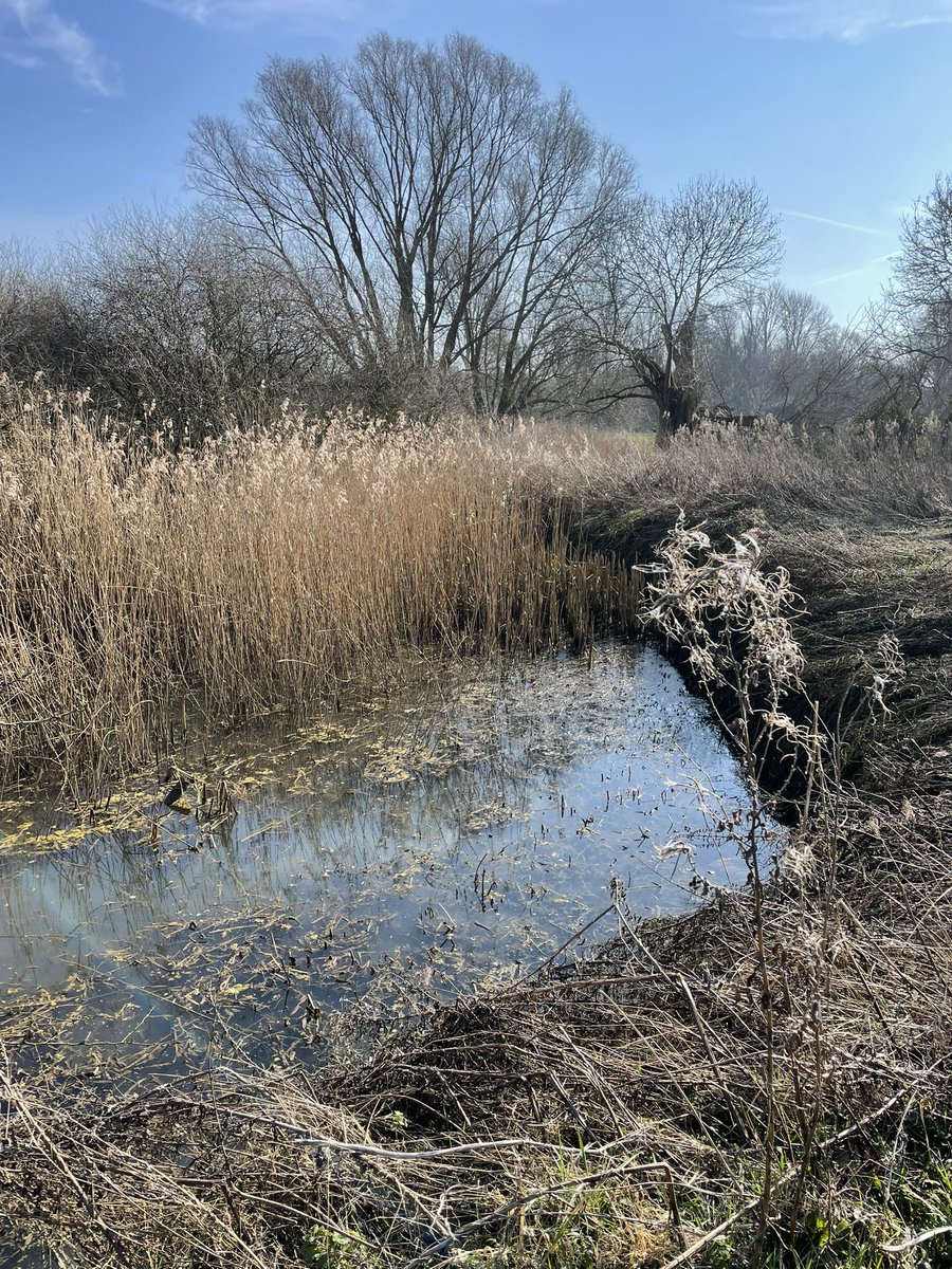 27 miles walked/run this week. This weeks photos were taken when with a colleague at a walking meeting. ‘Walking meeting close to the office’ is the theme of this weeks photos. New total 284 miles #nhs1000miles #NHS1000miles