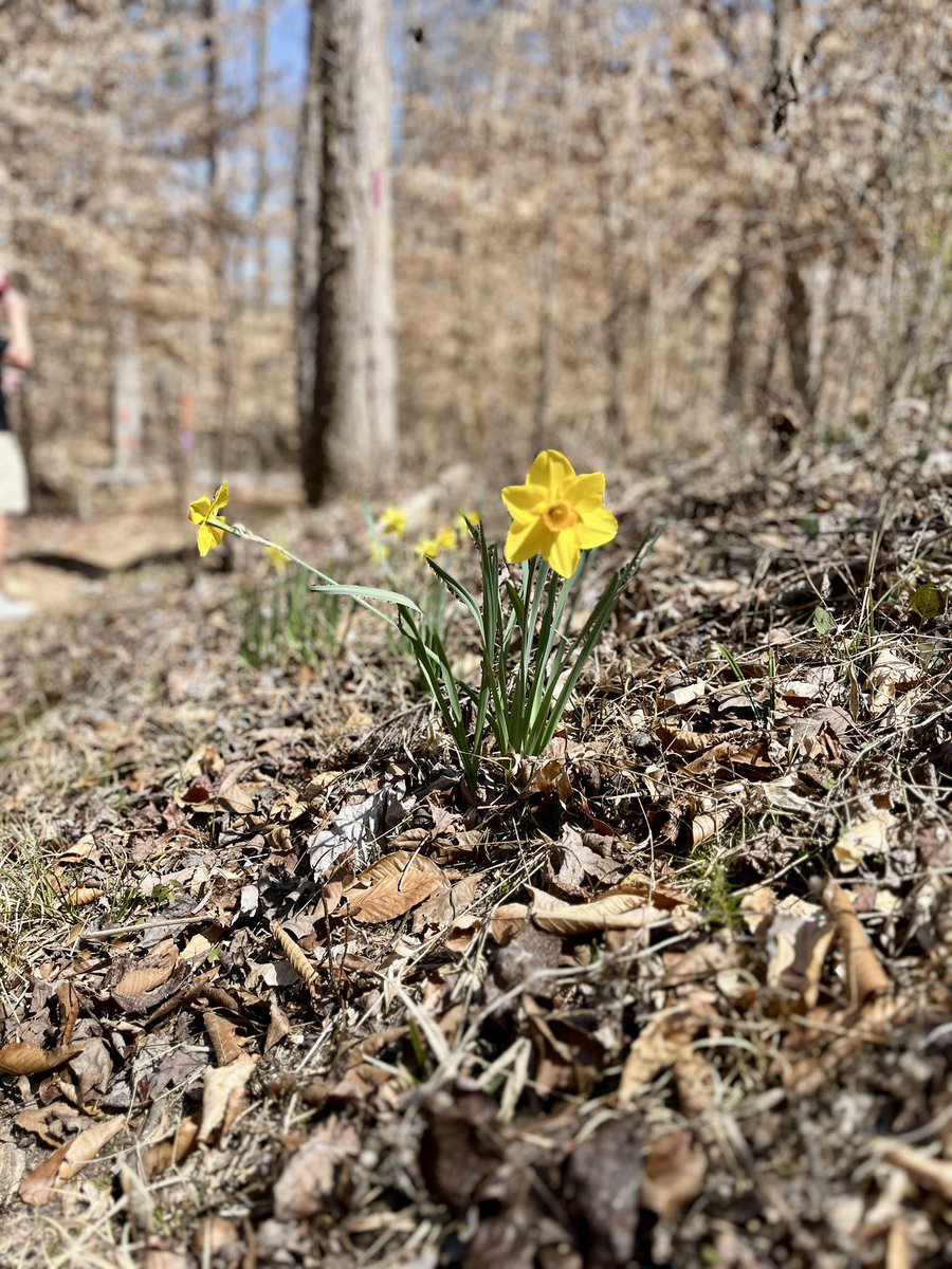 Jennifer Lewis tweet media