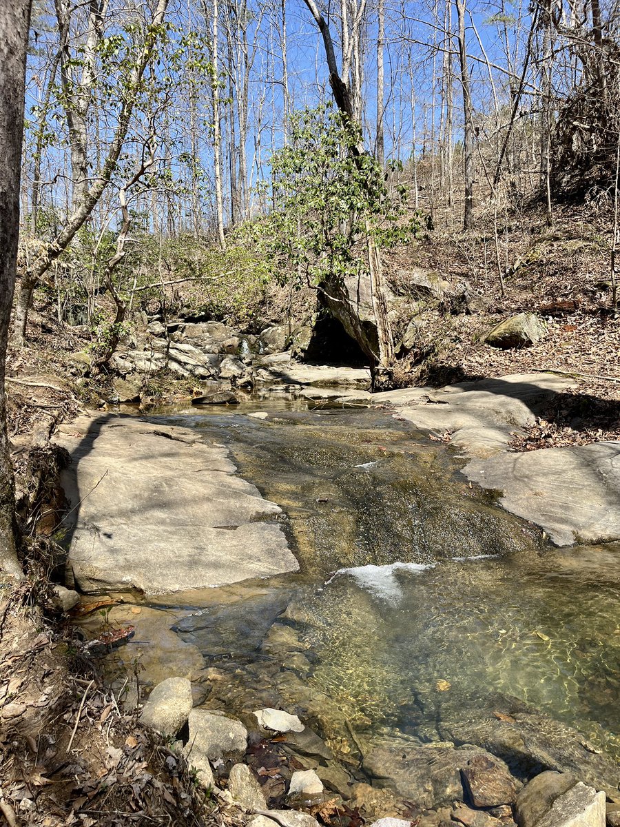 Jennifer Lewis tweet media