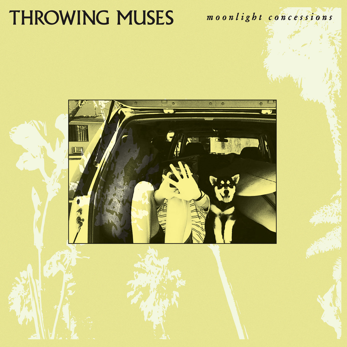 The Rock Club (@therockclubuk) on Twitter photo Album For Today: <a href="/throwingmuses/">Throwing Muses</a> - 'Midnight Concessions' - Superb record and UK tour on the horizon via <a href="/firerecordings/">Fire Records</a> kristinhersh.com Album For Today: <a href="/throwingmuses/">Throwing Muses</a> - 'Midnight Concessions' - Superb record and UK tour on the horizon via <a href="/firerecordings/">Fire Records</a> kristinhersh.com