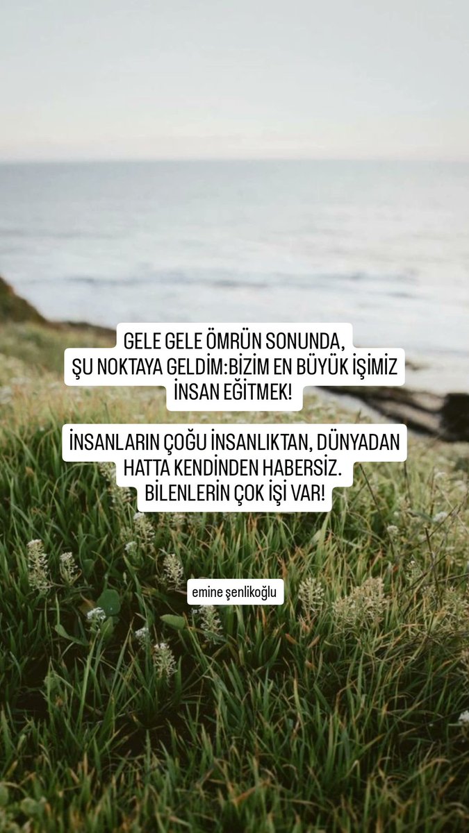 emine şenlikoğlu tweet media